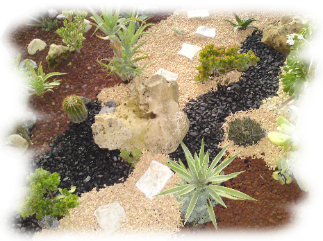 Vivaio i Giardini di Marzo - Progettazione e Realizzazione Giardini - Latina - Lazio